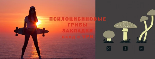 прущие грибы Алексин
