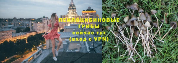 прущие крисы Алзамай