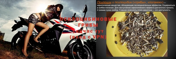 прущие грибы Алексин