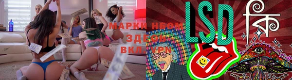 прущие крисы Алзамай