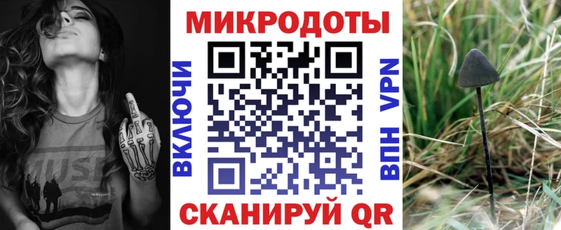 Псилоцибиновые грибы Magic Shrooms  продажа наркотиков  Андреаполь 